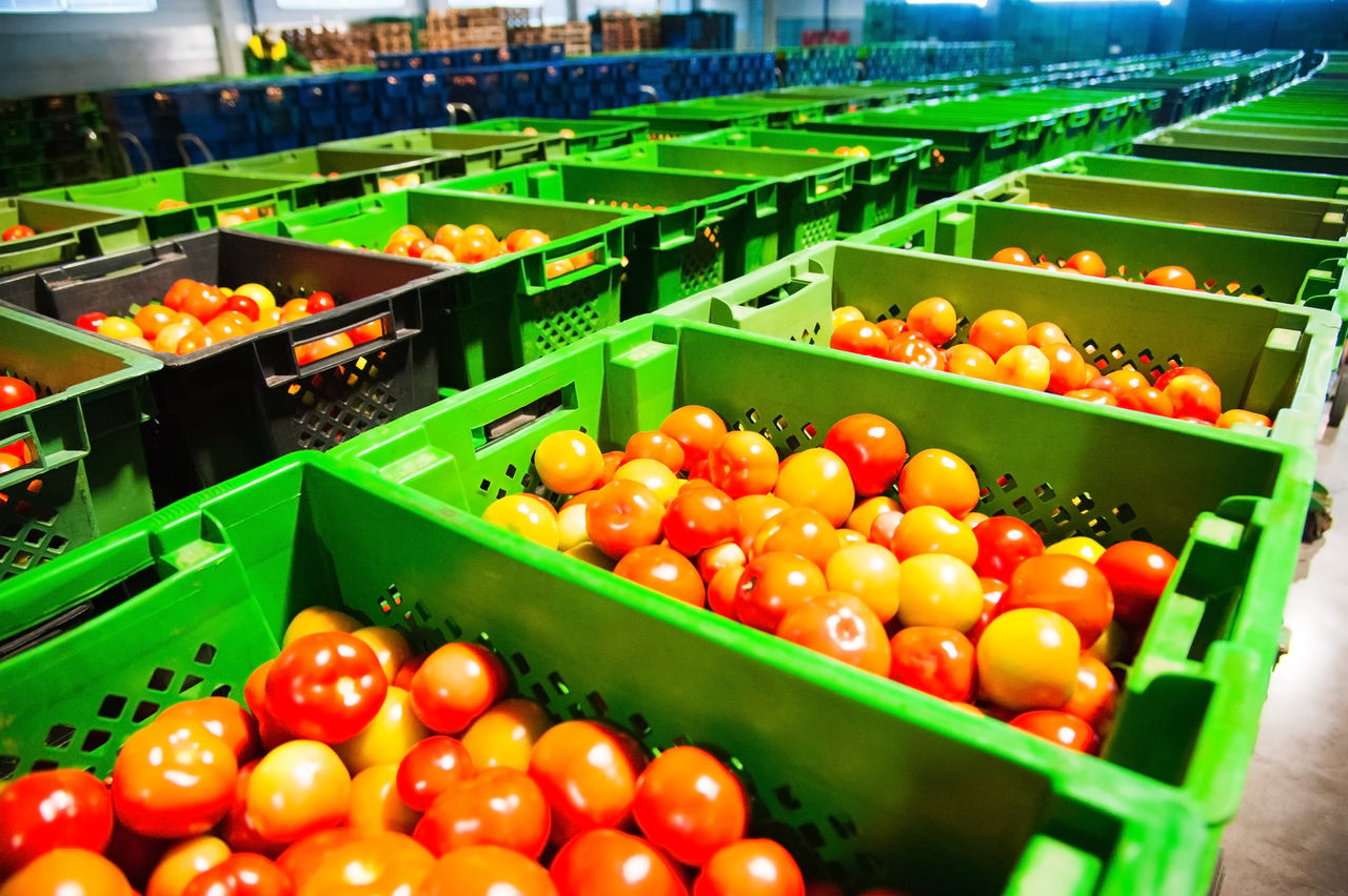 Jak zakłady produkujące żywność zapewniają, że ich produkty pozostają nieskażone?